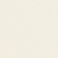 Papier Prestige Conqueror CX22 Brilliant White 100g/m² 450 x 640mm Ramette de 500 feuilles