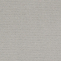 Papier Conqueror Laid Pencil 220 g/m² 700 mm x 1000 mm Paquet de 100 feuilles