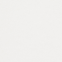 Papier Conqueror Wove Dry Toner Brillant White 100 g/m² 450 mm x 320 mm Paquet de 250 feuilles