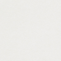 Papier de création Curious Metallics Ice Silver 300g/m² 450mm x 320mm Paquet de 100 feuilles