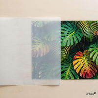 Curious Translucents - Papier calque incolore de qualité premium