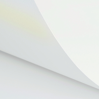 Papier Curious Metallics Ice Gold 300g/m² 720mm x 1020mm Paquet de 100 feuilles