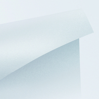 Papier Curious Metallics Ice Silver 300g/m² 720mm x 1020mm Paquet de 100 feuilles