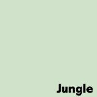 Papier Couleur Jungle/Vert Clair 80 g/m² SRA2 Image Coloraction