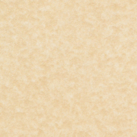 Papier Keaykolour Original Parchment Chamois 170 g/m² 700 mm x 1000 mm Paquet de 125 feuilles