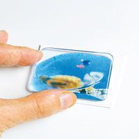 Easy dome rectangulaire 50 x 25mm Emblem
