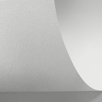 Papier Rives Shetland Bright White 350g/m² 700 mm x 1000 mm Paquet de 50 feuilles