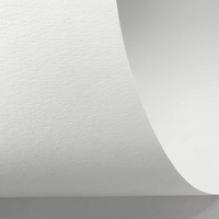 Rives Sensation Tradition Bright White 350g/m² 700mm x 1000mm