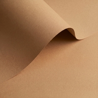Papier Olin Origins Digital Cereal 120g/m² 320mm x 460mm