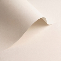 Papier Olin Origins Chalk 240g/m² 700mm x 1000mm