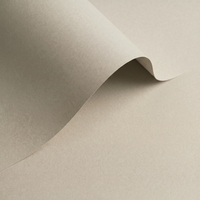 Papier Olin Colours Grey 120g/m² 700mm x 1000mm