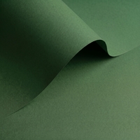 Papier Olin Colours Jungle Green 320g/m² 700mm x 1000mm
