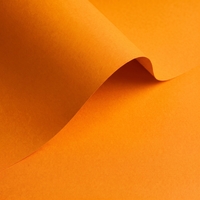 Papier Olin Colours Old Gold 240g/m² 700mm x 1000mm