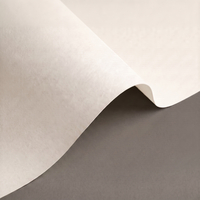 Papier Olin Design Rough Bright White 350g/m² 720 mm x 1020 mm Enramé