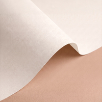 Papier Olin Design Rough Soft White 200g/m² 720 mm x 1020 mm Enramé