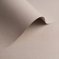 Papier Olin Origins Digital Pebble 320g/m² 460mm x 320mm