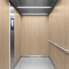 Film décoratif 3M  Di-Noc  DW-1875MT  Dry Wood  spécial mat  1220 mm x 50 m
