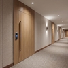 Film décoratif 3M  Di-Noc  DW-1876MT  Dry Wood  spécial mat  1220 mm x 50 m