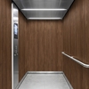 Film décoratif 3M  Di-Noc  DW-1882MT  Dry Wood  spécial mat  1220 mm x 50 m