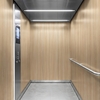 Film décoratif 3M  Di-Noc  DW-1902MT  Dry Wood spécial mat 1220 mm x 50 m