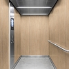 Film décoratif 3M  Di-Noc  DW-2201MT  Dry Wood  mat  1220 mm x 50 m