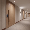 Film décoratif 3M  Di-Noc  DW-2203MT  Dry Wood  spécial mat  1220 mm x 50 m