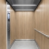 3M Di-Noc Film décoratif d'intérieur Design mat DW-2205MT 230µm  1220 mm x 50 m 7100032636