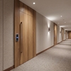 Film décoratif 3M  Di-Noc  DW-2208MT  Dry Wood  mat  1220 mm x 50 m
