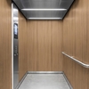 Film décoratif 3M  Di-Noc  DW-2209MT  Dry Wood  spécial mat  1220 mm x 50 m