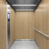 3M Di-Noc Film décoratif d'intérieur PVC DW-2479MT 200µm  1220 mm x 50 m 7100320957