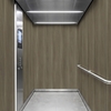 3M Di-Noc Film décoratif d'intérieur PVC DW-2480MT 200µm  1220 mm x 50 m 7100320789