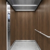3M Di-Noc Film décoratif d'intérieur PVC DW-2481MT 200µm  1220 mm x 50 m 7100320775