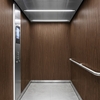 Film décoratif 3M  Di-Noc  FW-1021  Fine Wood  mat  1220 mm x 50 m