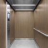 Film décoratif 3M  Di-Noc  FW-1212  Fine Wood  mat  1220 mm x 50 m