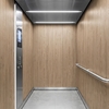 Film décoratif 3M  Di-Noc  FW-1217  Fine Wood  mat  1220 mm x 50 m