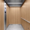 Film décoratif 3M  Di-Noc  FW-1256  Fine Wood  mat  1220 mm x 50 m