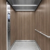 3M Di-Noc Film décoratif d'intérieur PVC FW-1266 230µm  1220 mm x 50 m 7100026685