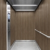Revêtements décoratifs 3M™ DI-NOC™ Fine Wood, FW-1977, 1220 mm x 50 m