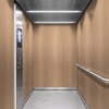 Revêtements décoratifs 3M™ DI-NOC™ Fine Wood, FW-1981, 1220 mm x 50 m