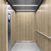 3M Di-Noc Film décoratif d'intérieur PVC FW-2421 200µm  1220 mm x 50 m 7100320798