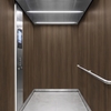 3M Di-Noc Film décoratif d'intérieur PVC FW-2427 200µm  1220 mm x 50 m 7100320780