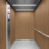 3M Di-Noc Film décoratif d'intérieur PVC PW-2306MT 200µm  1220 mm x 50 m 7100252349