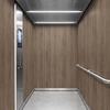 Film décoratif 3M  Di-Noc  PW-2310MT  Premium Wood  spécial mat  1220 mm x 50 m