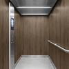 3M Di-Noc Film décoratif d'intérieur Design mat PW-2313MT 230µm  1220 mm x 50 m 7100252333