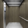 3M Di-Noc Film décoratif d'intérieur PVC PW-2321MT 200µm  1220 mm x 50 m 7100320801