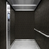 3M Di-Noc Film décoratif d'intérieur PVC WG-1070 230µm  1220 mm x 50 m 7000091149
