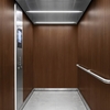 3M Di-Noc Film décoratif d'intérieur PVC WG-1146 230µm  1220 mm x 50 m 7000090791
