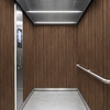 3M Di-Noc Film décoratif d'intérieur PVC WG-1196 200µm  1220 mm x 50 m 7000008001