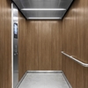 Film décoratif 3M  Di-Noc  WG-1337  Wood Grain  mat  1220 mm x 50 m
