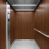 Film décoratif 3M  Di-Noc  WG-157  Wood Grain  mat  1220 mm x 50 m